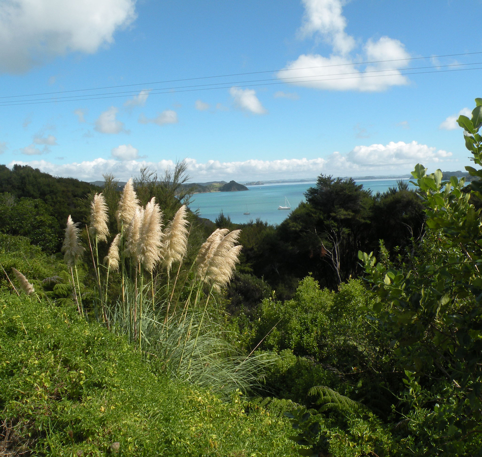 New Zealand