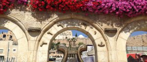 City of David